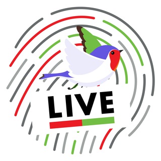 Логотип телеграм канала @mvideoeldorado_live — М.Видео-Эльдорадо Live