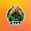 Логотип телеграм канала @mvsontour — mvs on tour