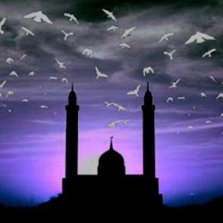 لوگوی کانال تلگرام my_islamic3 — فوائد وفرائد