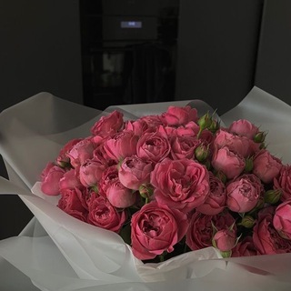 Логотип телеграм канала @my_mislii — 🥷🏻