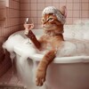 Логотип телеграм канала @my_cat_house — Кошкин дом