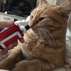 Логотип телеграм канала @my_ebem_kotov — Унылое подземелье