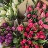 Логотип телеграм канала @myandyouwildberris — Wildberries 💗🌷