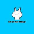 Logo of telegram channel myanmarhiddencam — Dark Fox