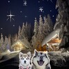 Логотип телеграм канала @myaochanforesthall — Горная Усадьба Мяо-Чан