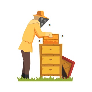 Логотип телеграм канала @myapiary — Моя пасека