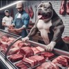 Логотип телеграм канала @myasosobak — 🥩 Мясо для собак 🥩 Москва и МО