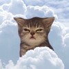 Logo of telegram channel myaushatafuk — I