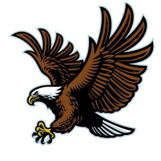 Logo of telegram channel mybanknifty — Eagle Future & Bnf & options 🚀🚀🚀