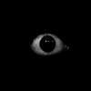 Логотип телеграм канала @mybloodmedia8 — «МК Медиа👁» 8 Платный контент на Boosty и VK Donut