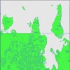 Логотип телеграм канала @mycelium_map — карта-грибница