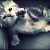 Логотип телеграм канала @mychronicd3pression — спасибо что отцепили