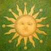 Логотип телеграм канала @mycophytotherapy — Грибы и травы|Терапия