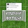 Логотип телеграм канала @mydriyfootball — Мудрый футбол