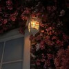 Логотип телеграм канала @mydushaaal — allove