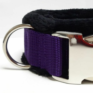 لوگوی کانال تلگرام mygearzone — MyGear.Zone by LilTayeGrr