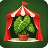 Логотип телеграм канала @mygreencircus — Мой зеленый цирк 🎪🪴