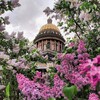 Логотип телеграм канала @myhorizon_world — Экскурсионные туры по миру
