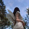 Telegram channel أنتيكا Antique 🦋 . logo