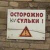 Логотип телеграм канала @mylitlepussy — Моя маленькая киска