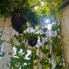 Логотип телеграм канала @myloveadventures — Свой среди чужих