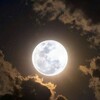 Logo of telegram channel mymoonshid — Mymoonshid