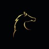 Логотип телеграм канала @myparadise_horse — 𝐌𝐘𝐏𝐚𝐫𝐚𝐝𝐢𝐬𝐞 𝐇𝐨𝐫𝐬𝐞 - 𝐖𝐢𝐥𝐝 𝐇𝐨𝐫𝐬𝐞 𝐈𝐬𝐥𝐚𝐧𝐝𝐬