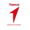 Логотип телеграм канала @mypervie_gergebil — ДВИЖЕНИЕ ПЕРВЫХ Гергебильского района