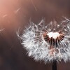 Логотип телеграм канала @mypsyhub — MyPsyHub - жизнь и практика двух психоаналитиков