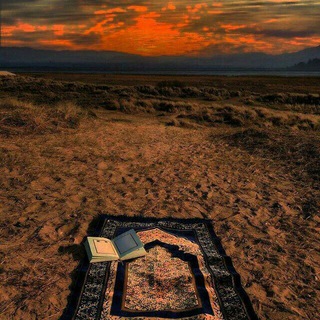 电报频道的标志 myquranrecitation — Best of quran videos