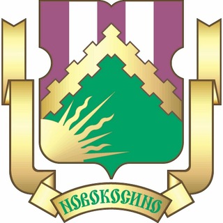 Логотип телеграм канала @myrayonnovokosino — Москва, Новокосино
