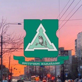 Логотип телеграм канала @myrayonvosizm — Москва, Восточное Измайлово