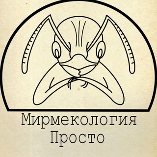 Логотип телеграм канала @myrmecologia_prosto — Мирмекология– Просто