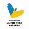 Логотип телеграм -каналу myrnenebo_izum — ІЗЮМ. Мирне небо Харкова
