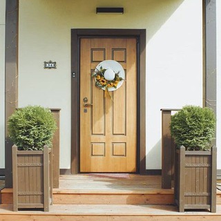 Логотип телеграм канала @myshla_home — myshla home
