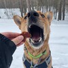 Логотип телеграм канала @myxacecee — Перешли на новый канал
