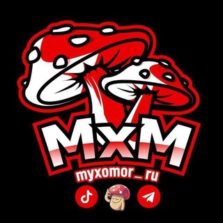Логотип телеграм канала @myxomor_ru — Мухоморы Микродозинг Купить