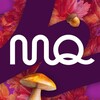 Telegram channel MozgoQuiz в Будапеште logo
