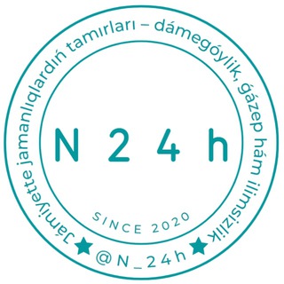 Telegram channel N24h logo
