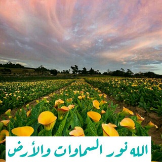 لوگوی کانال تلگرام n_n313 — الله نور السماوات والأرض