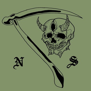 Логотип телеграм канала @n_s_live — North Side Live