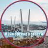Логотип телеграм канала @n_prim — Дальневосточные новости