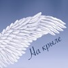 Логотип телеграм канала @na_kryle — На крыле
