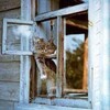Логотип телеграм канала @na_lavochke_tut — Разговоры на лавочке🌱