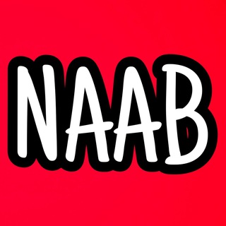Logo del canale telegramma naab_accessorii - Naab_accessori