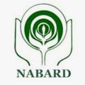 Logo saluran telegram nabardinterview — NABARD Gr A 2023