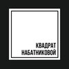 Логотип телеграм канала @nabatnikova_rf — Квадрат Набатниковой