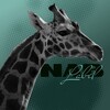 Telegram channel NAB LABEL logo
