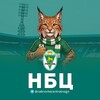 Telegram channel На Броўцы Цэнтральнага logo