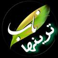 لوگوی کانال تلگرام nabtarinhayeman — 👌*.¸¸.*ناب ترینها*.¸¸.*👌